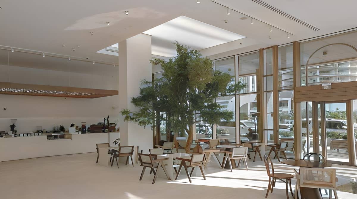 Cafe