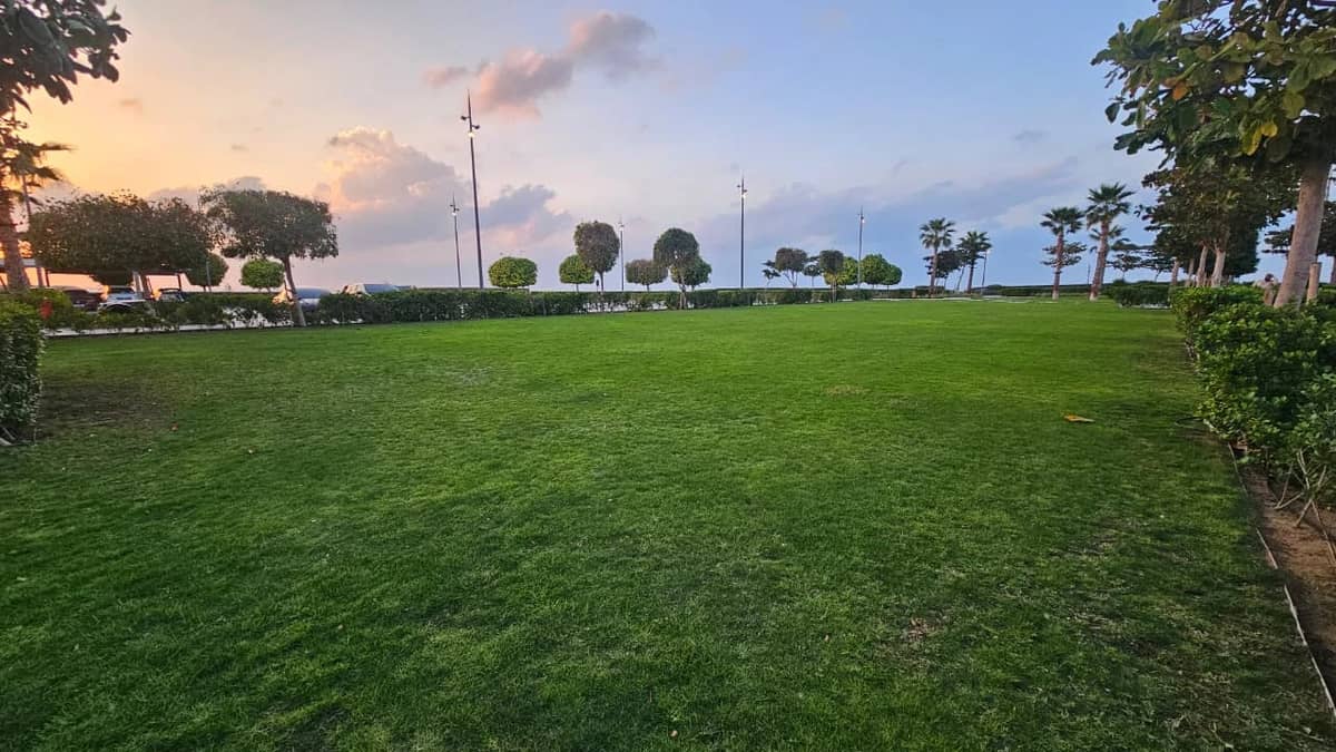 Small Lawn