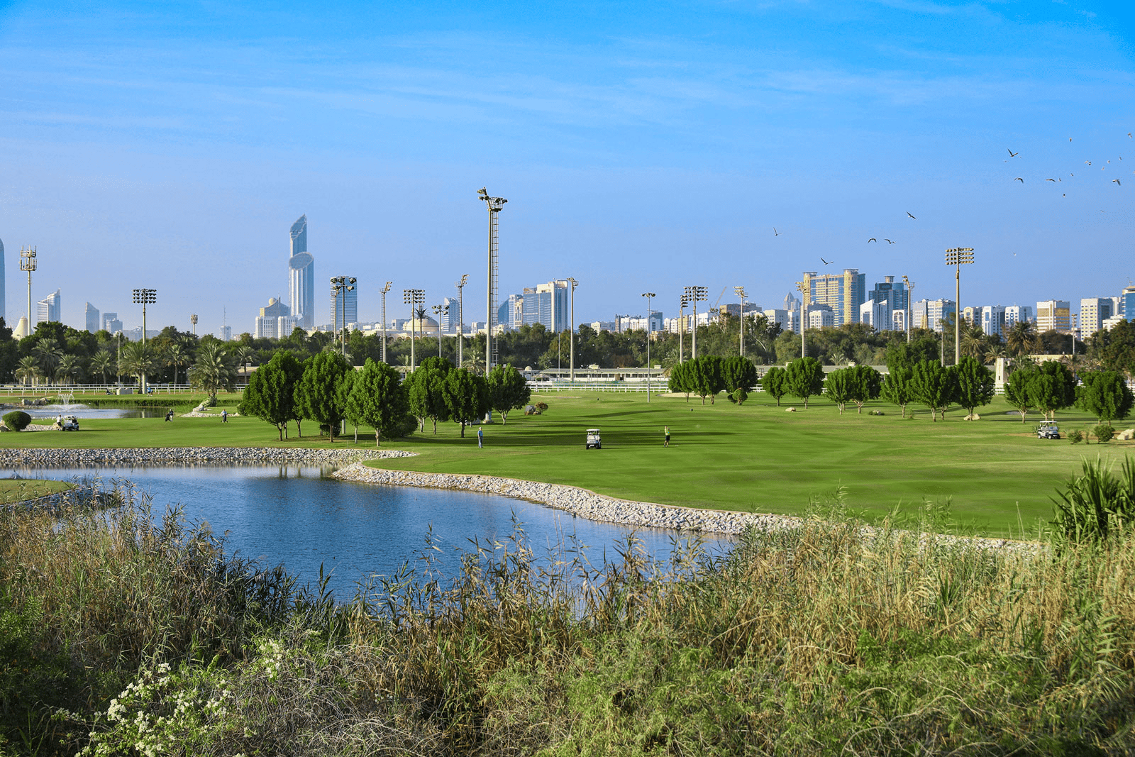 golf_course_2