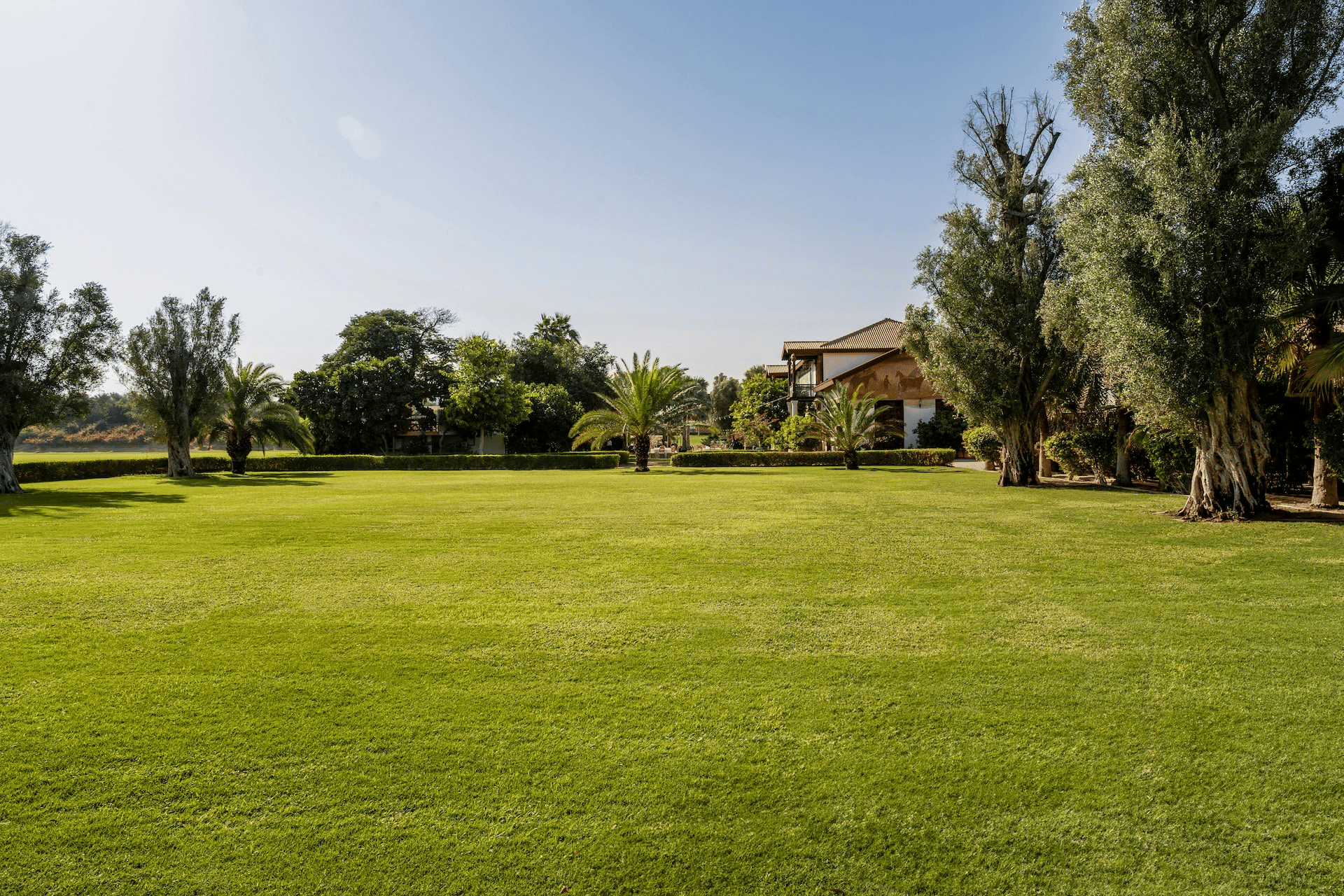 the_olive_garden_3