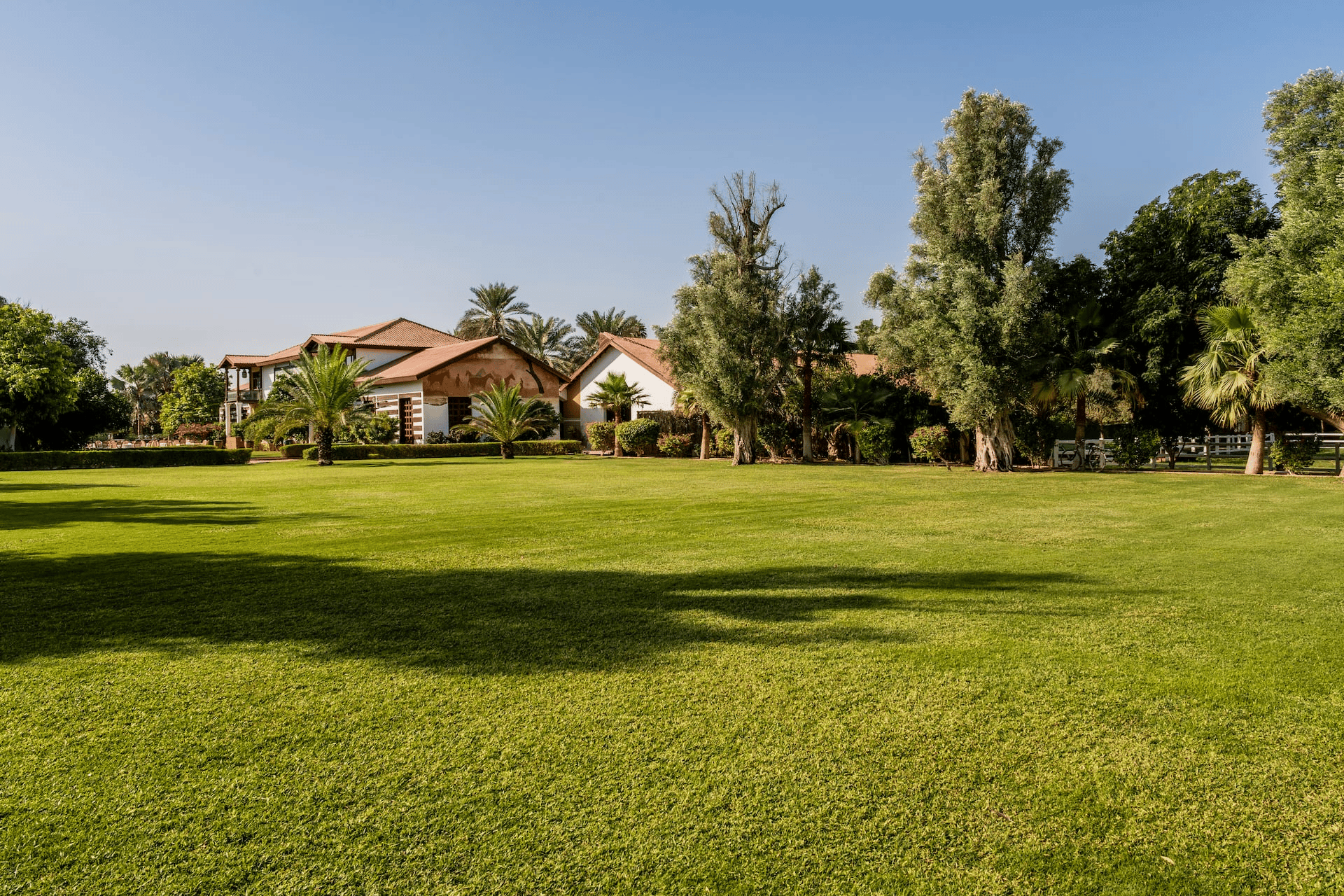 the_olive_garden_4
