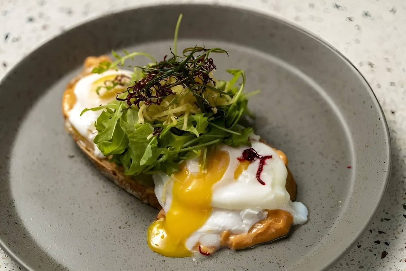 Food & Drinks