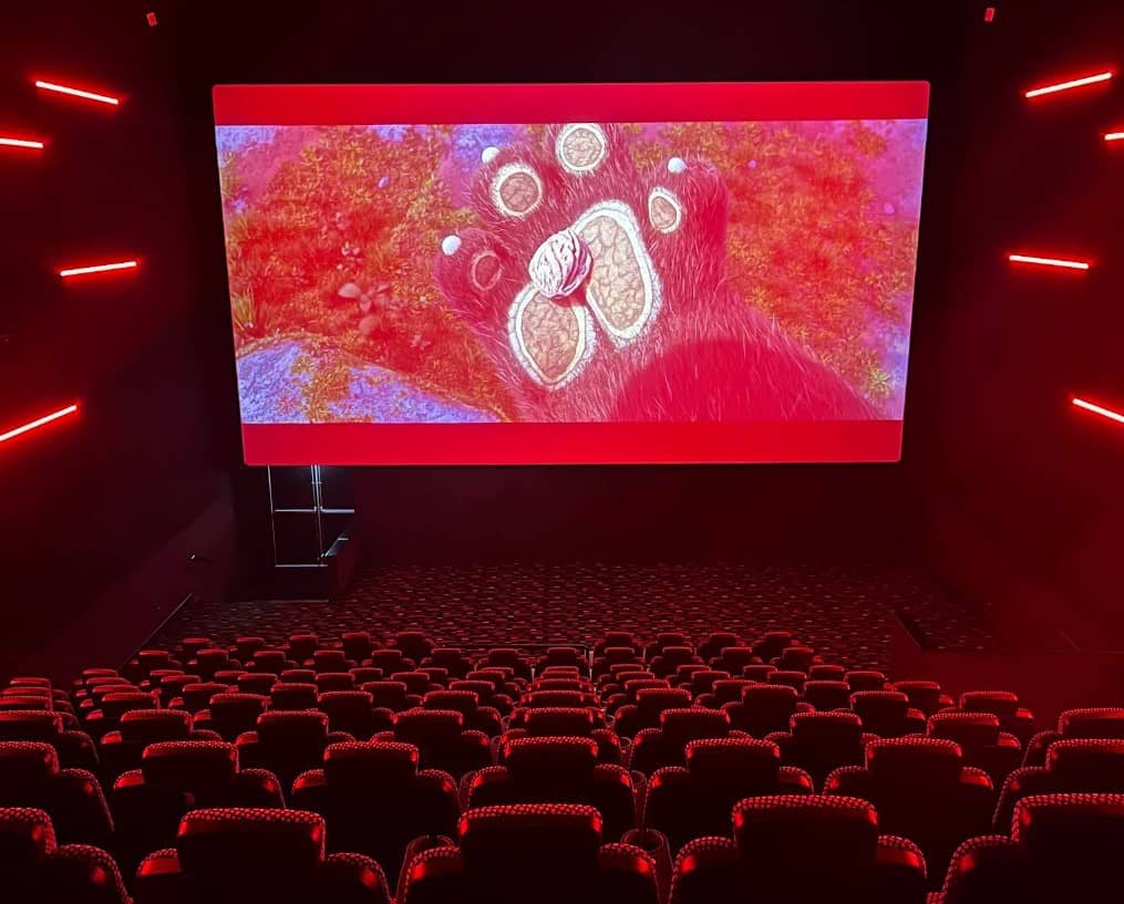 Screen 5