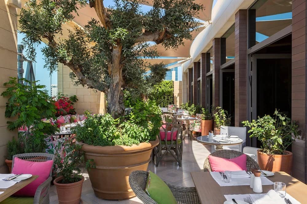 Indigo Terrace