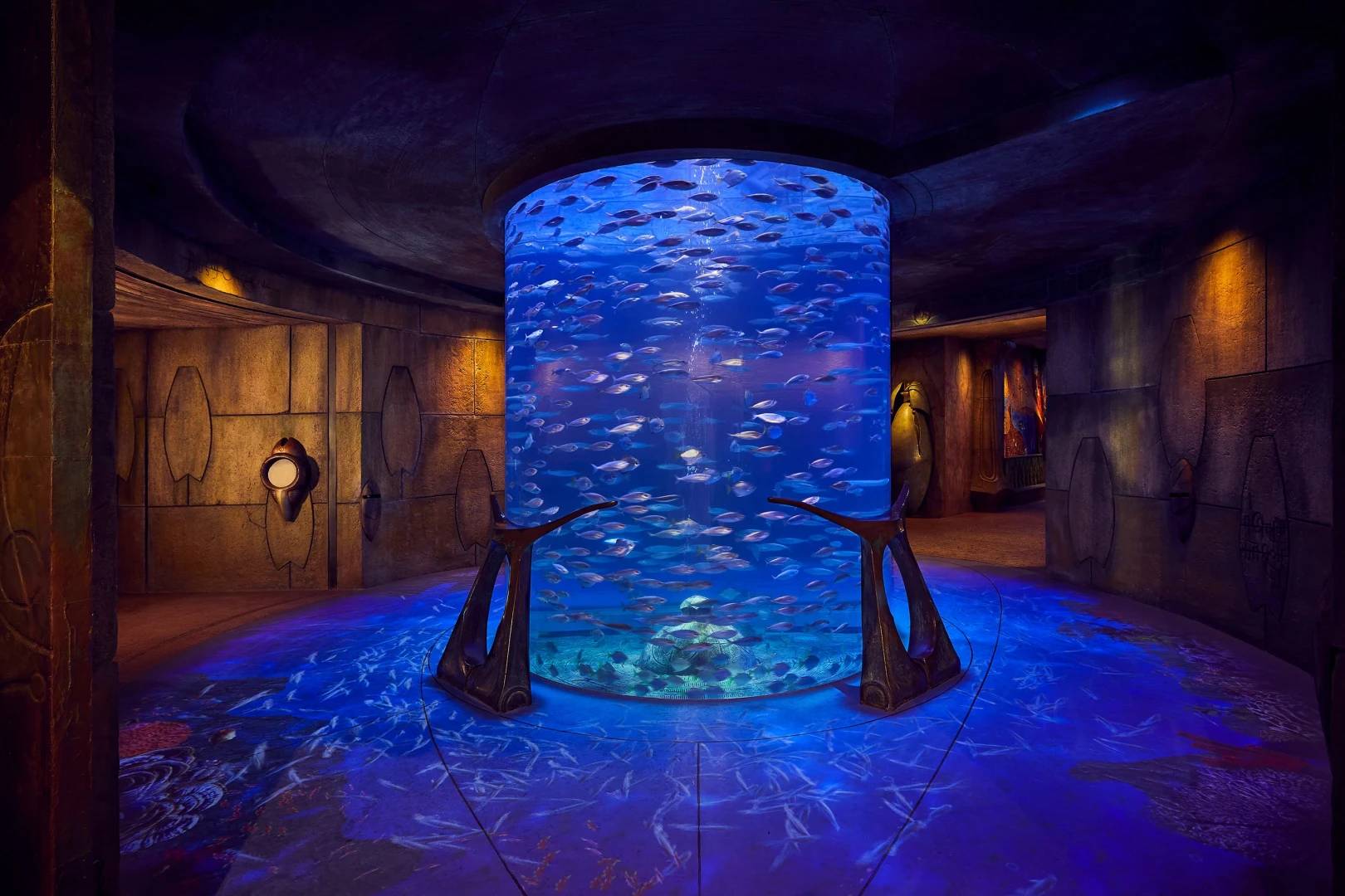 The Lost Chambers Aquarium