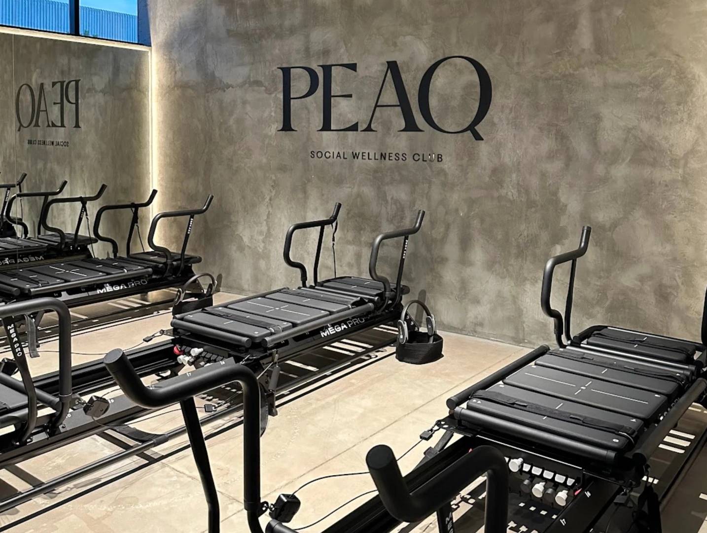 Peaq Wellness