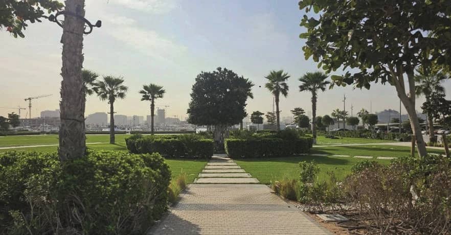 Big Lawn