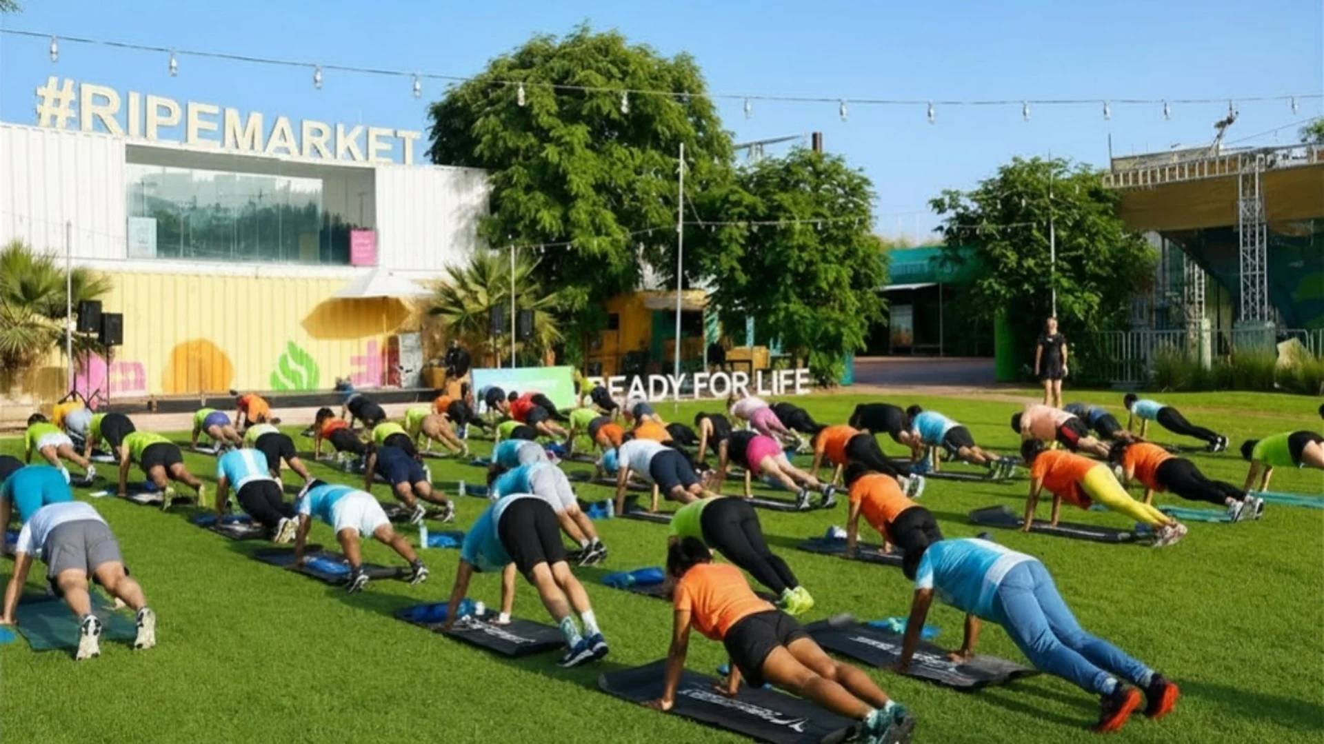 Outdoor Lawn & Activity Space