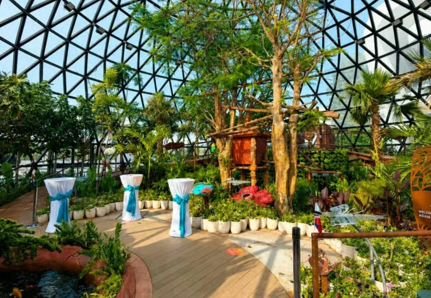 Lush indoor garden with event setup at The Butterfly Gardens Abu Dhabi, UAE
