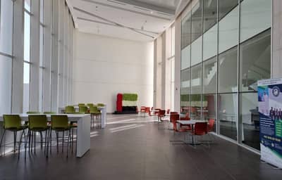 University of Dubai