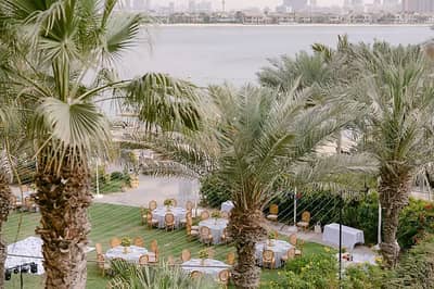 Palm View Garden