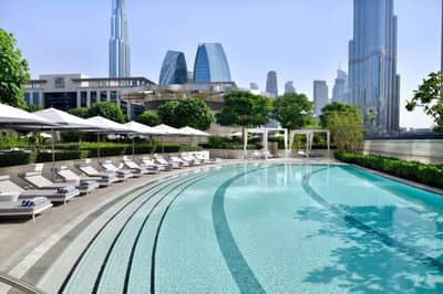 The Pool Deck