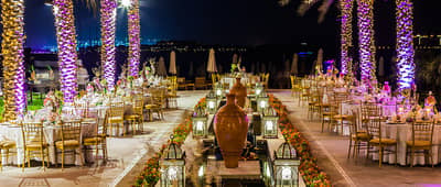 Palm Courtyard