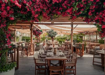 Restaurant Dining