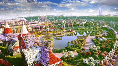 garden