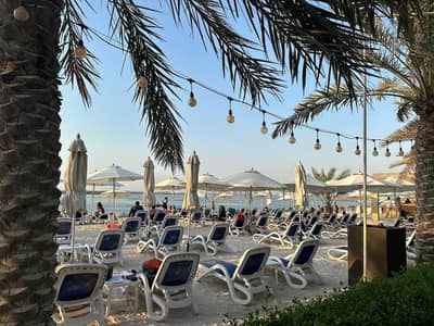 Beach Area