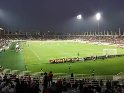 Al Nahyan Stadium Main Field