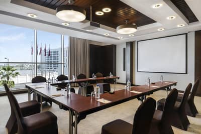 Meeting Plus 1