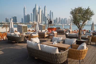 Orange Chameleon Outdoor
