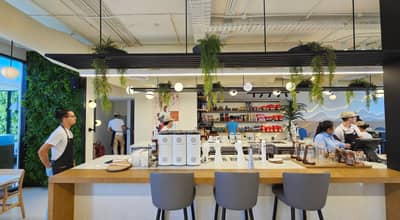 Cafe First Floor