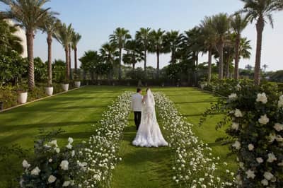 Emerald Lawn