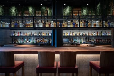 Main Restaurant And Bar