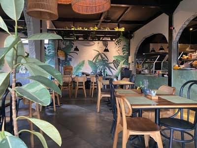 Social House Restaurant Dubai