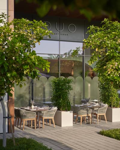 Terrace 2