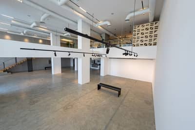 Art Gallery