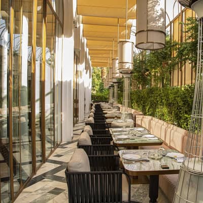 Terrace