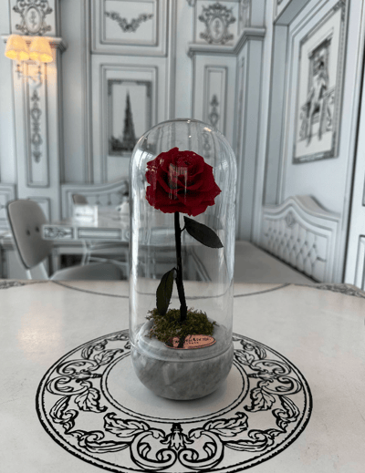 Forever Rose Cafe Al Wasl