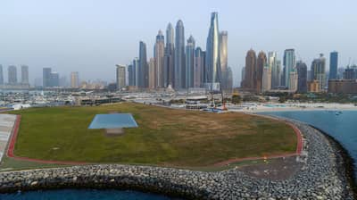 Larger Grass Area