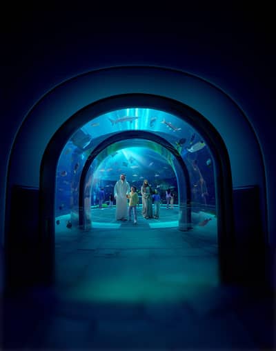 SeaWorld Abu Dhabi