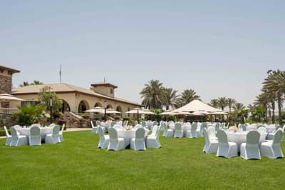 Dolphin Lawn