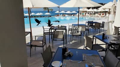 Restaurant Outdoor