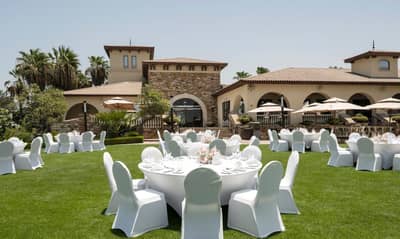 Dolphin Lawn