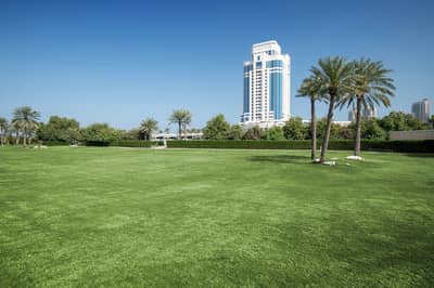 The Palm Garden