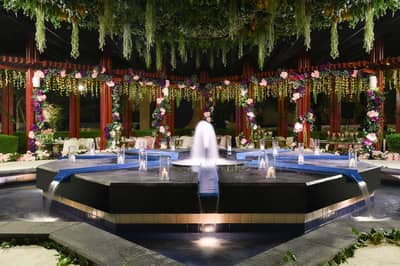 The Palm Garden