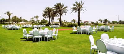 Skyline Lawn