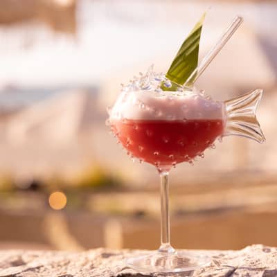 Food & Drink