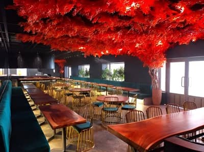 Akiko Restaurant Muscat
