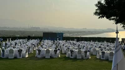 Lawn 2