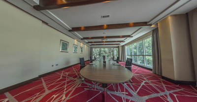 Meeting Plus 16
