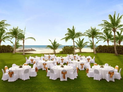 Palm Lawn