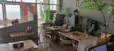 Panda Grill House Restaurant RAK