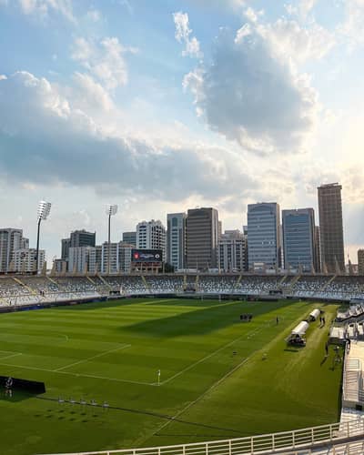 Al Nahyan Stadium Main Field