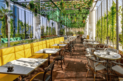 Outdoor Terrace