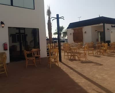 Abu Osaid Restaurant Madinah Al Usbah