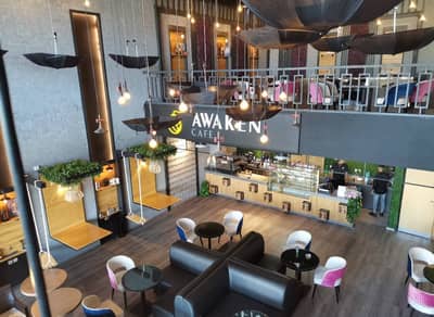 Cafe