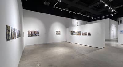 Art Gallery